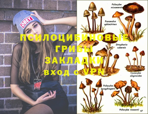 стафф Верхнеуральск