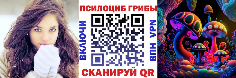 omg ONION  сколько стоит  Воркута  Псилоцибиновые грибы Cubensis 